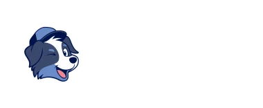 Lavage de vitres extérieur